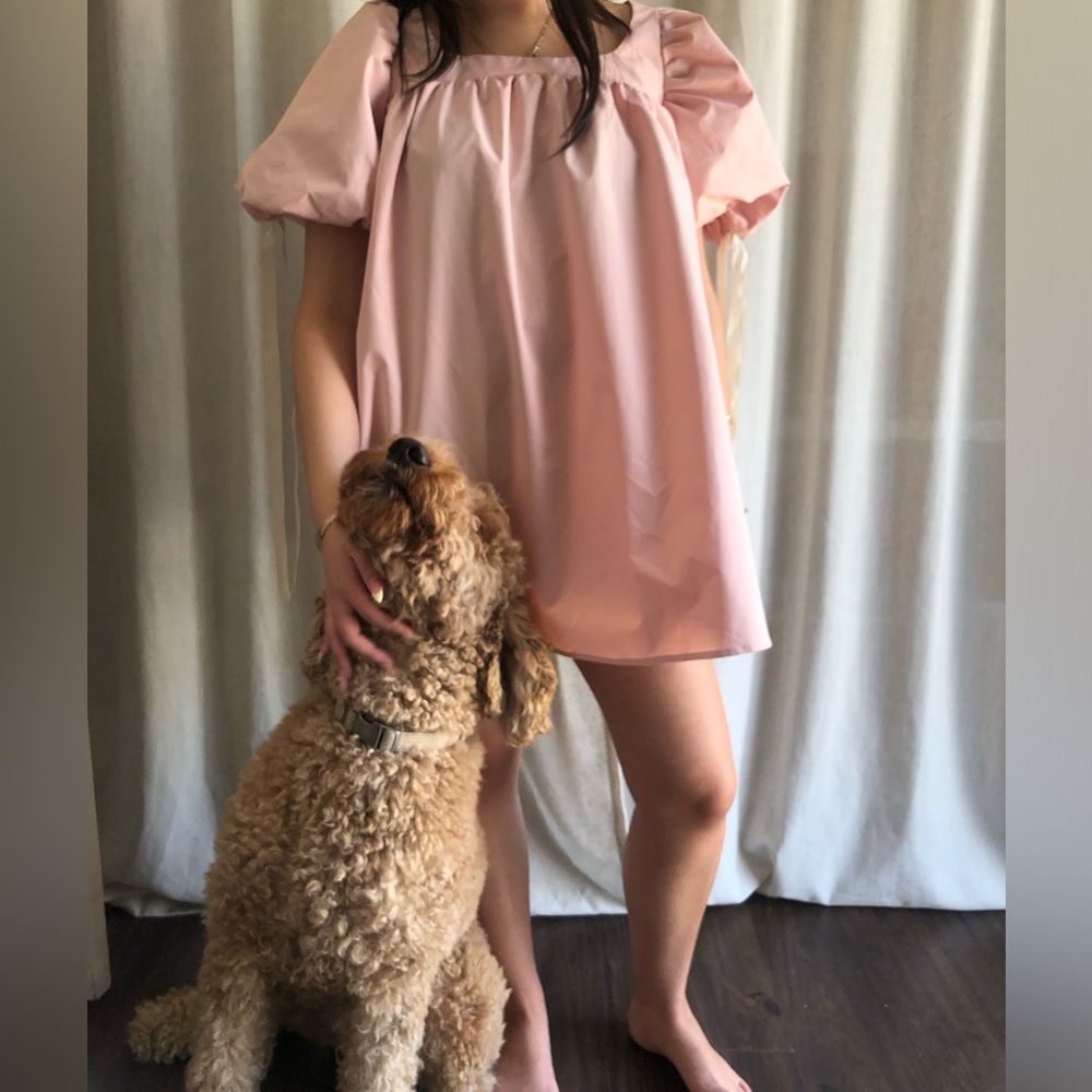 Cider Blush Pink Puff Sleeve Dress